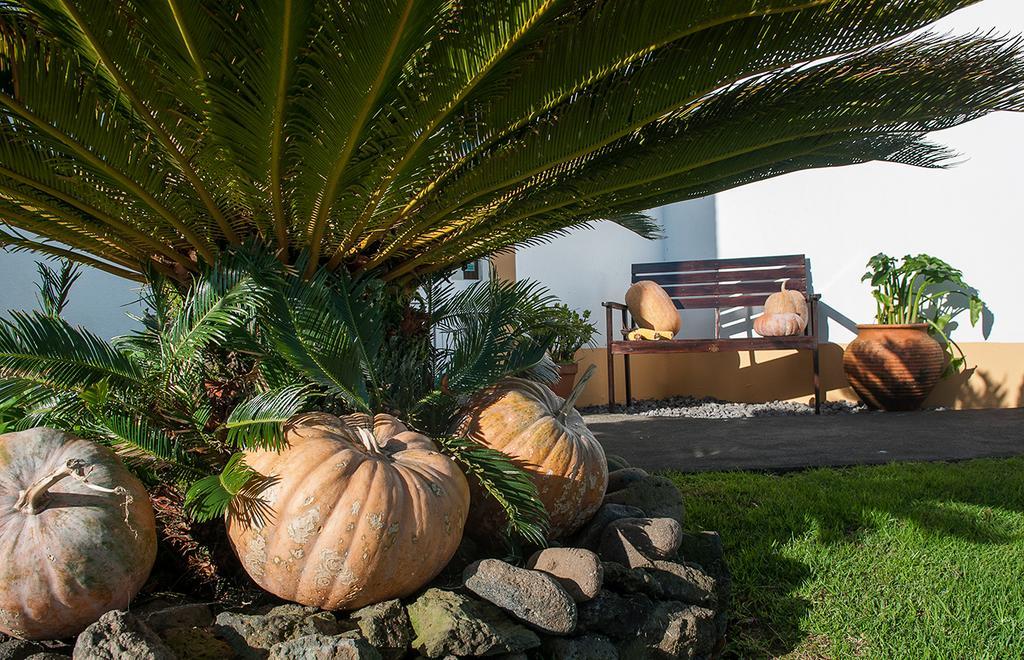 Vila Belgica Bed & Breakfast Horta  Eksteriør bilde